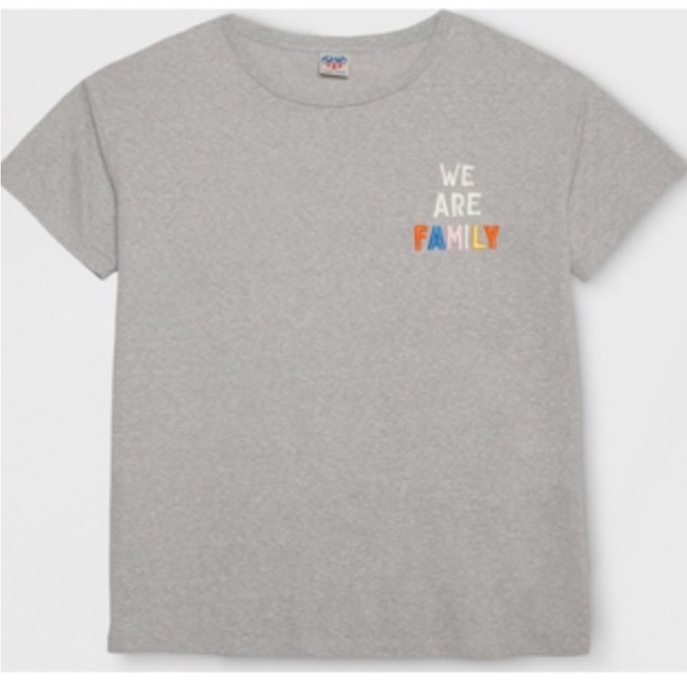 Junk Food We Are Family Embroidered Tee Gray Cotton M